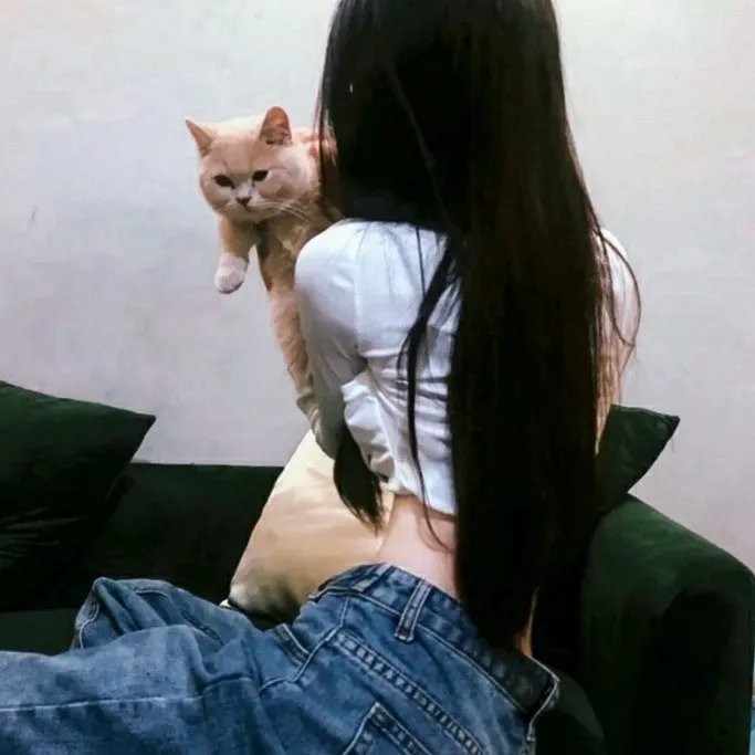 弃婚当日，我被首富千金逼婚